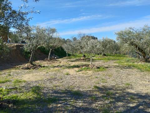 Terreno c/ Moradia Amovível - Monte Serrano