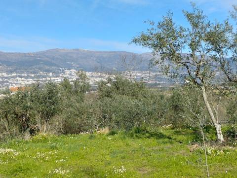 Terreno c/ Moradia Amovível - Monte Serrano