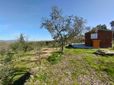 Terreno c/ Moradia Amovível - Monte Serrano