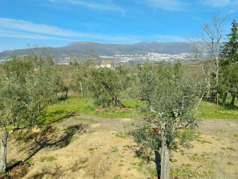 Terreno c/ Moradia Amovível - Monte Serrano