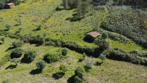 Quinta em Amarelos - 15 min. Castelo Branco