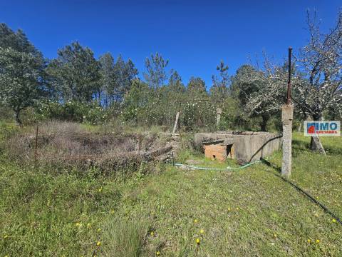 Quinta em Amarelos - 15 min. Castelo Branco