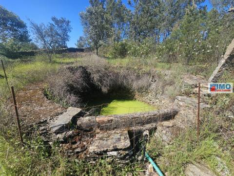 Quinta em Amarelos - 15 min. Castelo Branco