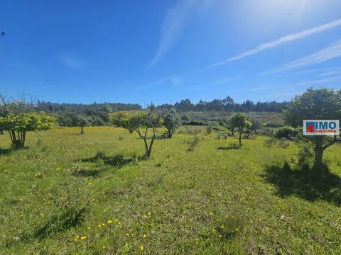Quinta em Amarelos - 15 min. Castelo Branco