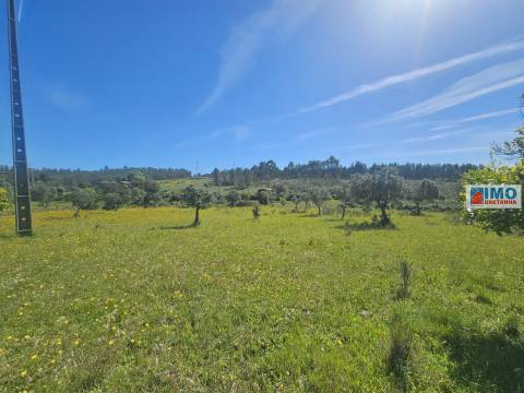 Quinta em Amarelos - 15 min. Castelo Branco