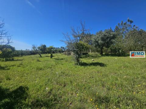 Quinta em Amarelos - 15 min. Castelo Branco