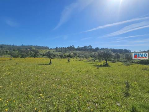 Quinta em Amarelos - 15 min. Castelo Branco