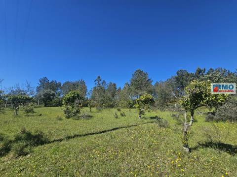 Quinta em Amarelos - 15 min. Castelo Branco