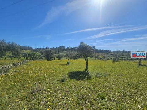 Quinta em Amarelos - 15 min. Castelo Branco