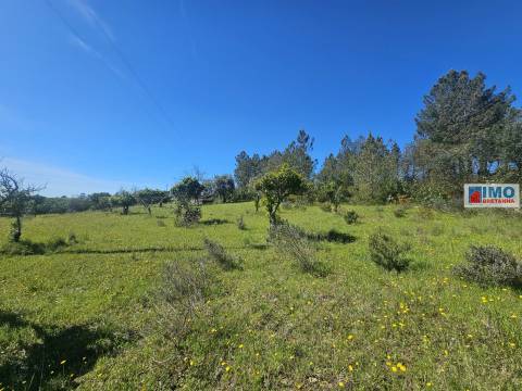 Quinta em Amarelos - 15 min. Castelo Branco