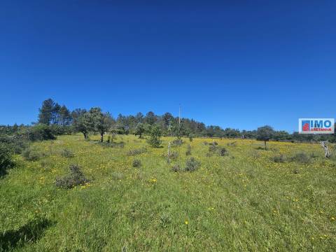 Quinta em Amarelos - 15 min. Castelo Branco