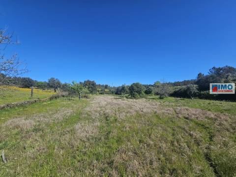 Quinta em Amarelos - 15 min. Castelo Branco