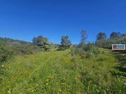 Quinta em Amarelos - 15 min. Castelo Branco