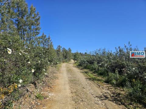Quinta em Amarelos - 15 min. Castelo Branco