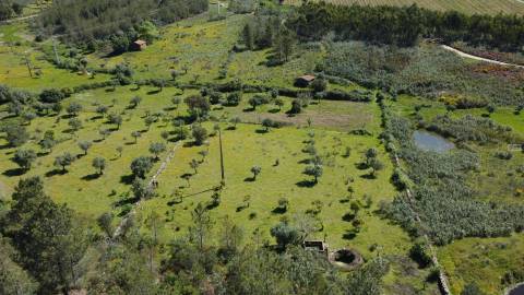 Quinta em Amarelos - 15 min. Castelo Branco