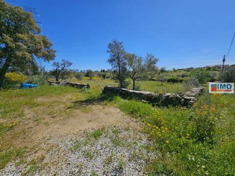 Terreno em Amarelos - 15 min Castelo Branco