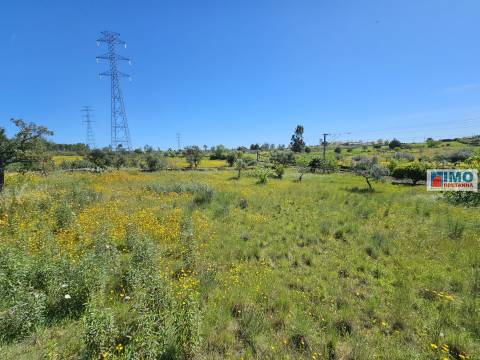 Terreno em Amarelos - 15 min Castelo Branco