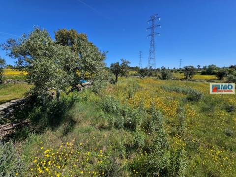 Terreno em Amarelos - 15 min Castelo Branco