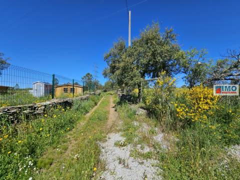 Terreno em Amarelos - 15 min Castelo Branco