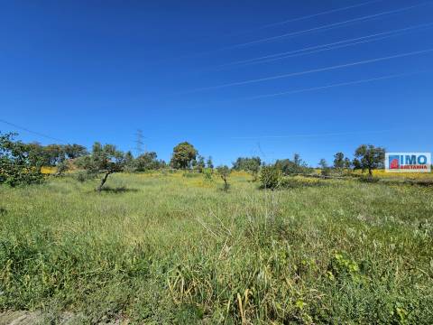 Terreno em Amarelos - 15 min Castelo Branco