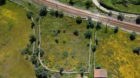 Terreno em Amarelos - 15 min Castelo Branco