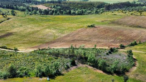 Terreno c/ Regadio - entre Fatela e Capinha