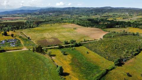 Terreno c/ Regadio - entre Fatela e Capinha