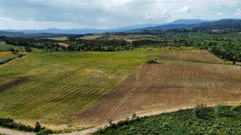Terreno c/ Regadio - entre Fatela e Capinha