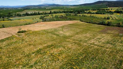 Terreno c/ Regadio - entre Fatela e Capinha