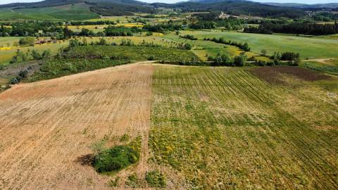 Terreno c/ Regadio - entre Fatela e Capinha