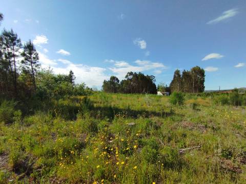 Terreno c/ Regadio - Salgueiral - Enxames - Fundão