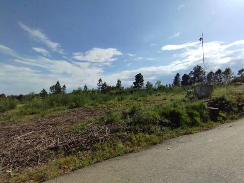 Terreno c/ Regadio - Salgueiral - Enxames - Fundão