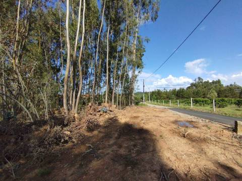 Terreno c/ Regadio - Salgueiral - Enxames - Fundão