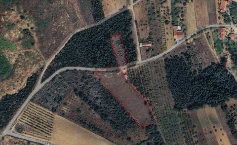 Terreno c/ Regadio - Salgueiral - Enxames - Fundão