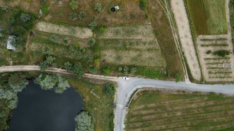 Quintinha - Zona de Orjais