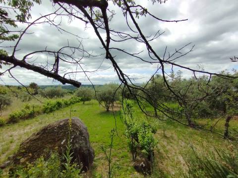 Quintinha - Zona de Orjais