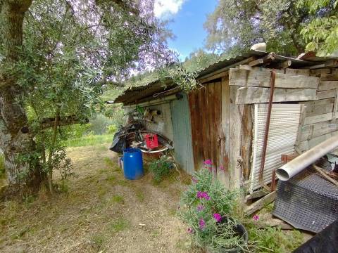 Quintinha - Zona de Orjais