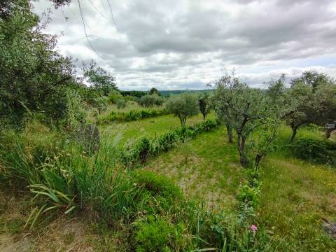 Quintinha - Zona de Orjais