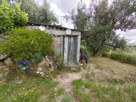 Quintinha - Zona de Orjais