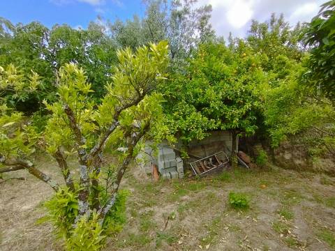 Quintinha - Zona de Orjais