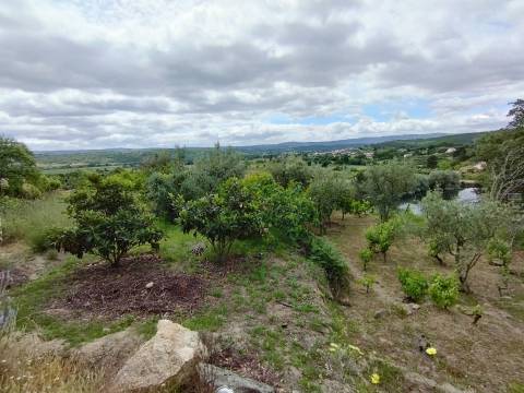 Quintinha - Zona de Orjais