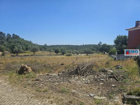 Lote de Terreno  Venda em Benquerenças,Castelo Branco