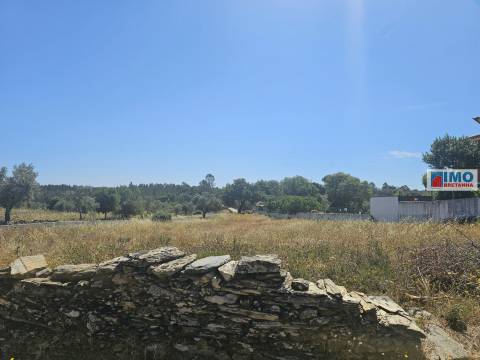 Lote de Terreno  Venda em Benquerenças,Castelo Branco