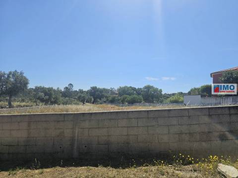 Lote de Terreno  Venda em Benquerenças,Castelo Branco