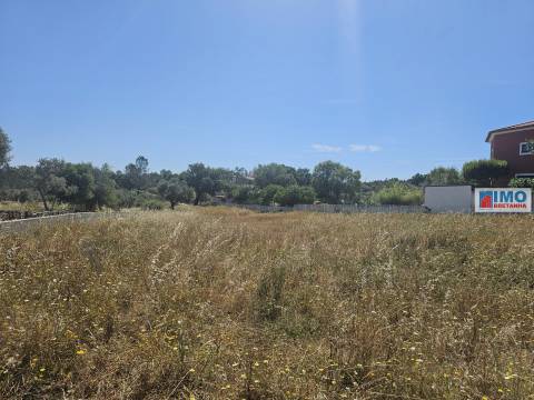Lote de Terreno  Venda em Benquerenças,Castelo Branco