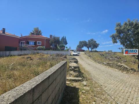 Lote de Terreno  Venda em Benquerenças,Castelo Branco