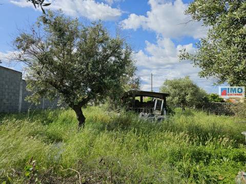 Terreno urbano 1820m - centro da Vila de Alcains