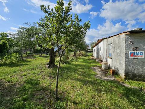Terreno urbano 1820m - centro da Vila de Alcains