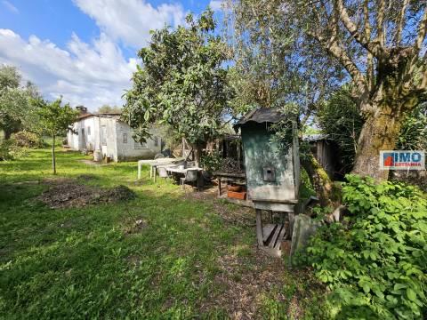 Terreno urbano 1820m - centro da Vila de Alcains
