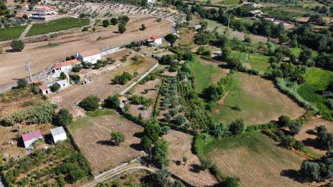 Quinta c/ Habitação - Teixoso